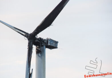Zwartgeblakerde windturbine in polder